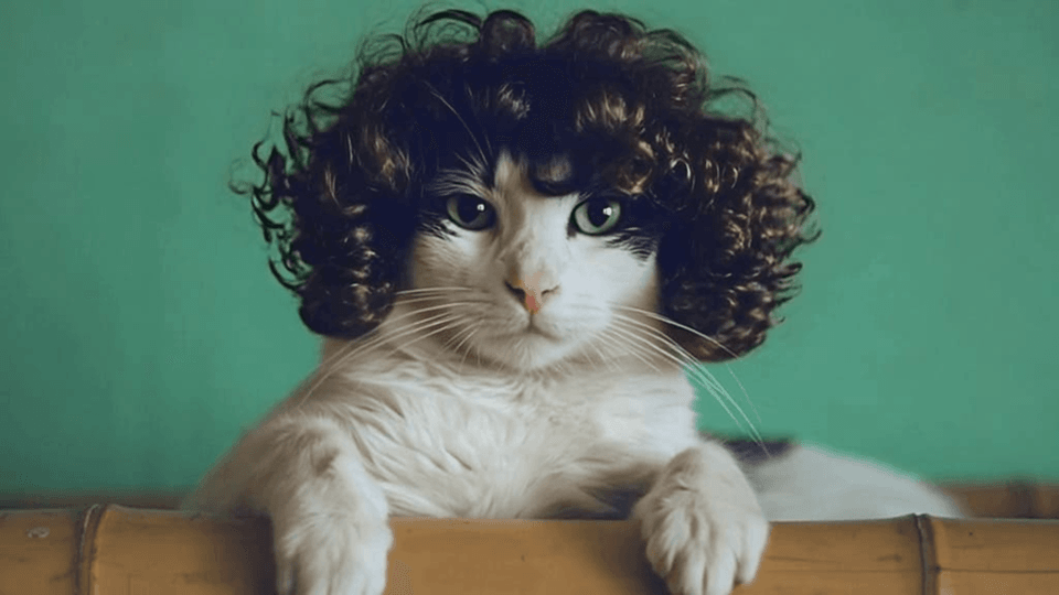 ekaterina-shakharova-L4nwL3195U0-unsplash-1.png