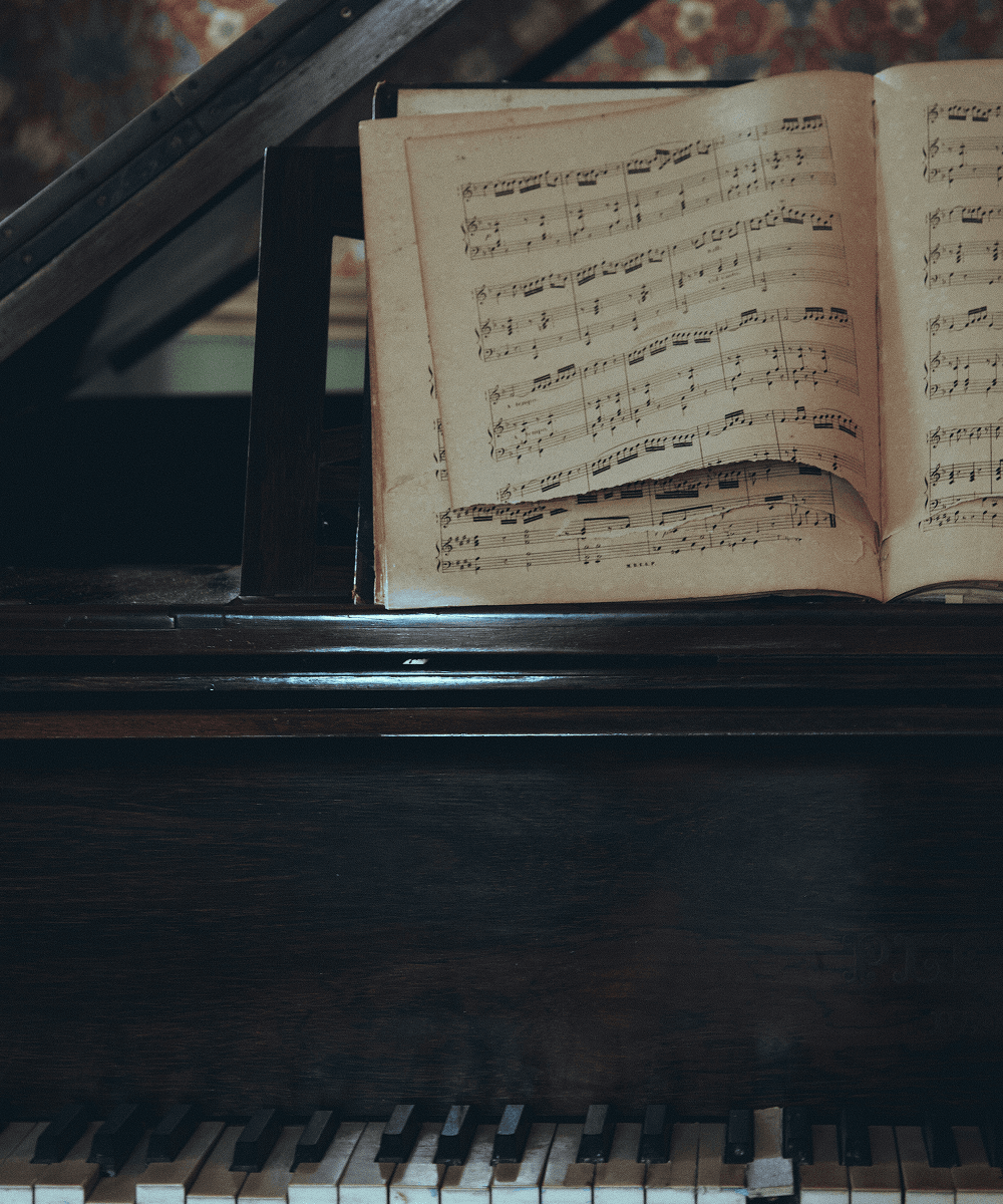 jefferson-sees-f5v1P1hHhHk-unsplash.png