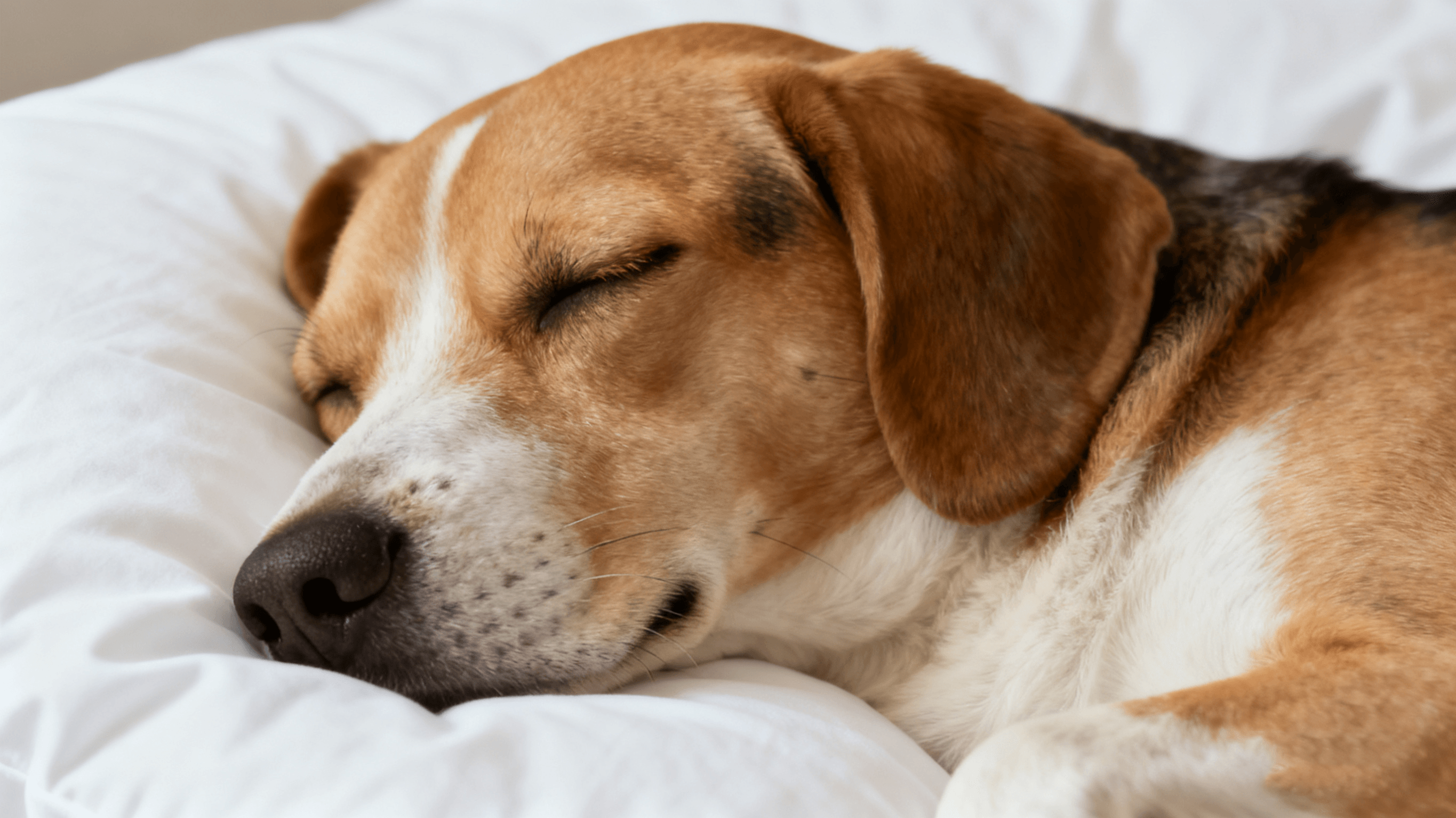 制作电影分镜 (10).png